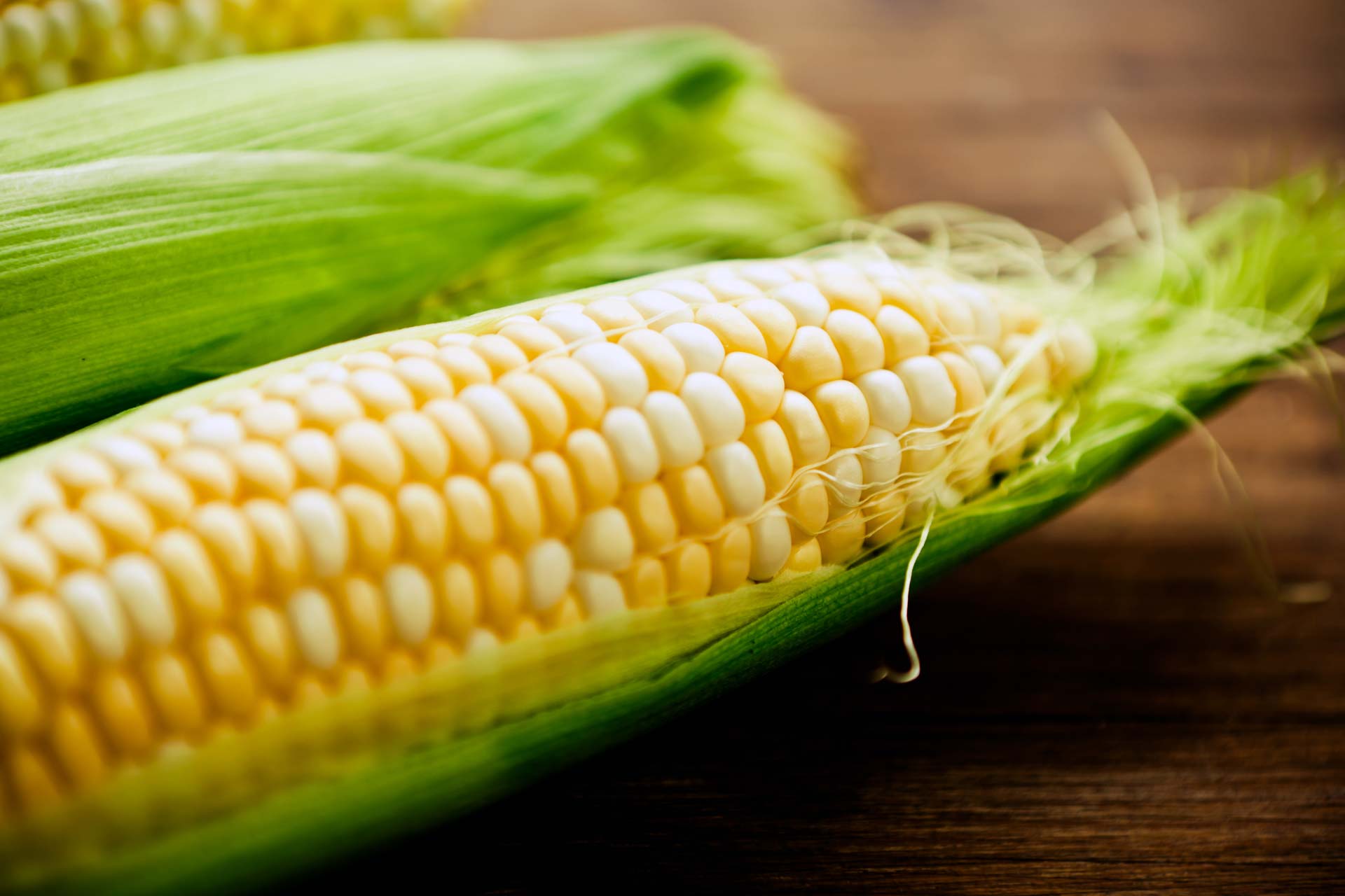 Fresh uncooked corn on the cob